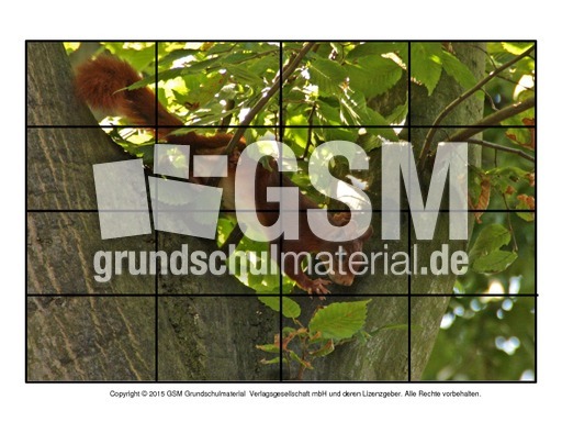 Puzzle-Eichhörnchen-16.pdf